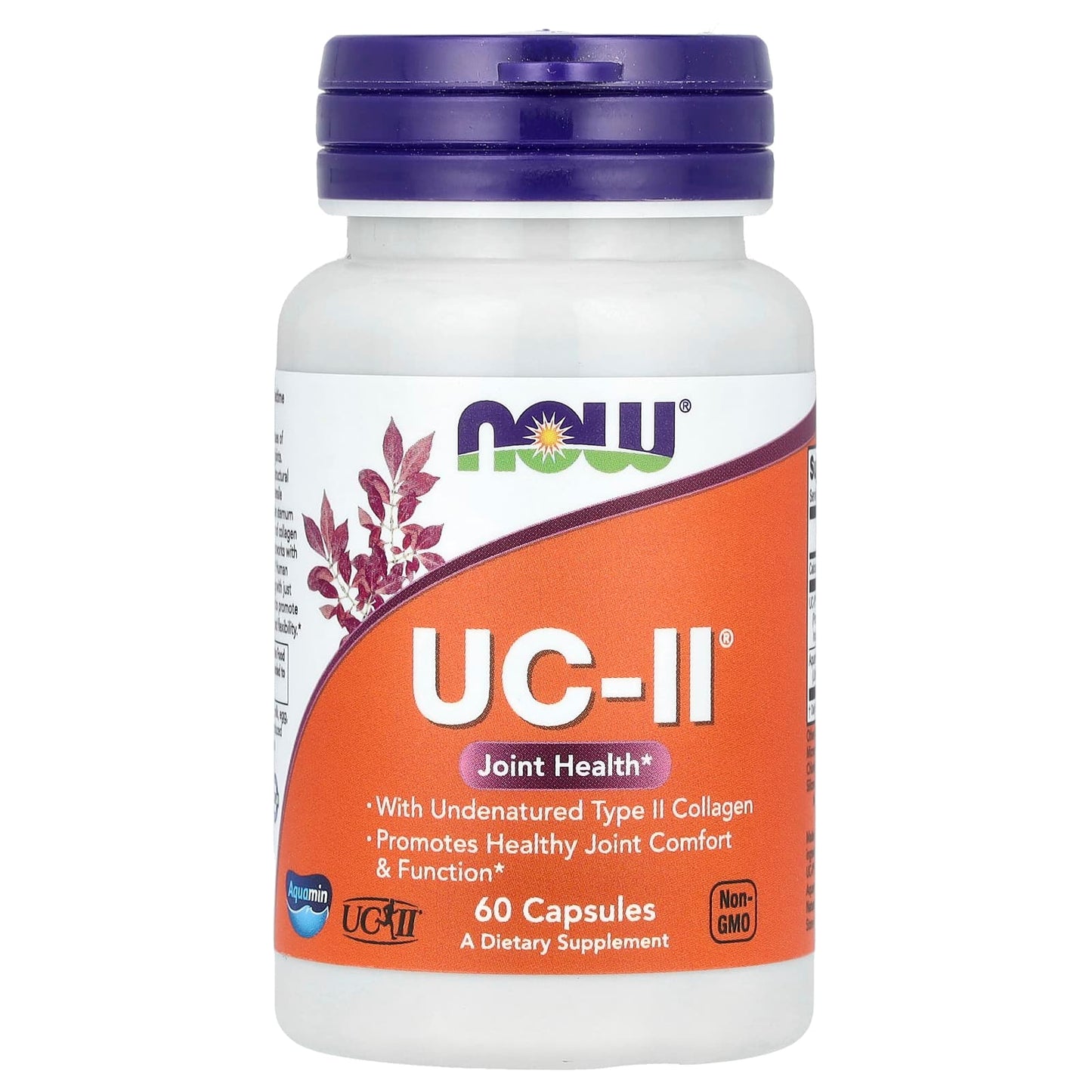 UC-II Joint Health with Undenatured Type II Collagen, NOW Foods