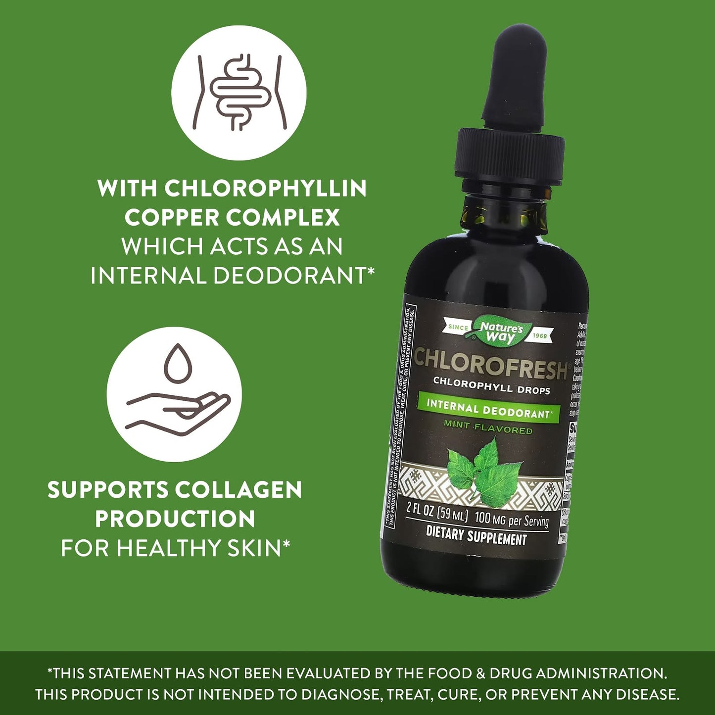 Nature's Way, Chlorofresh, Chlorophyll Drops, Mint